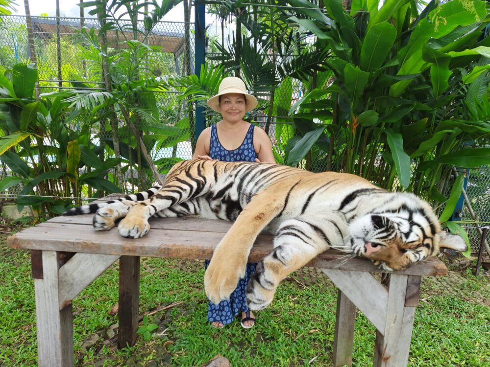Lucky´s Tigermassage