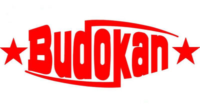 Sport- und Freizeitverein Budokan - Duisburg Logo