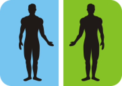 Bullsmassage & Fußpflege