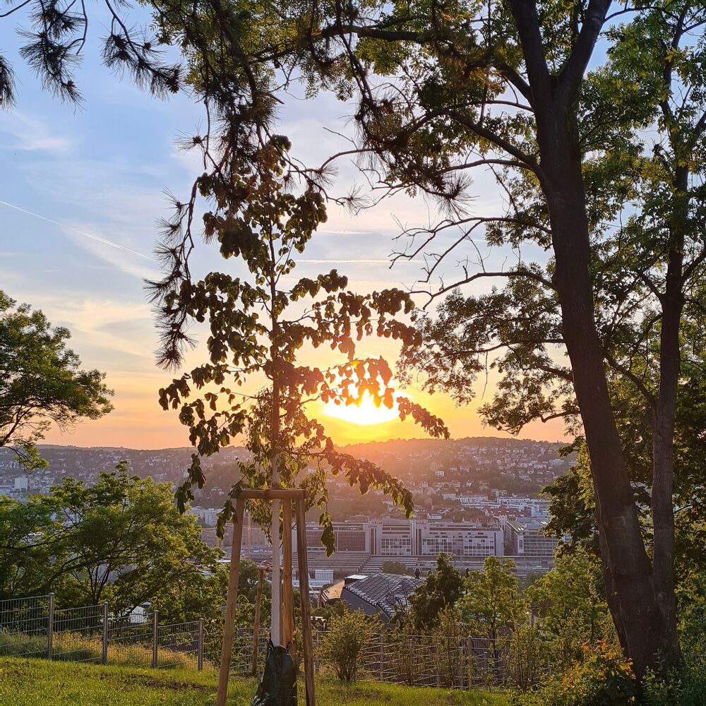 Blick vom Minigolf-Gärtle auf Stuttgart