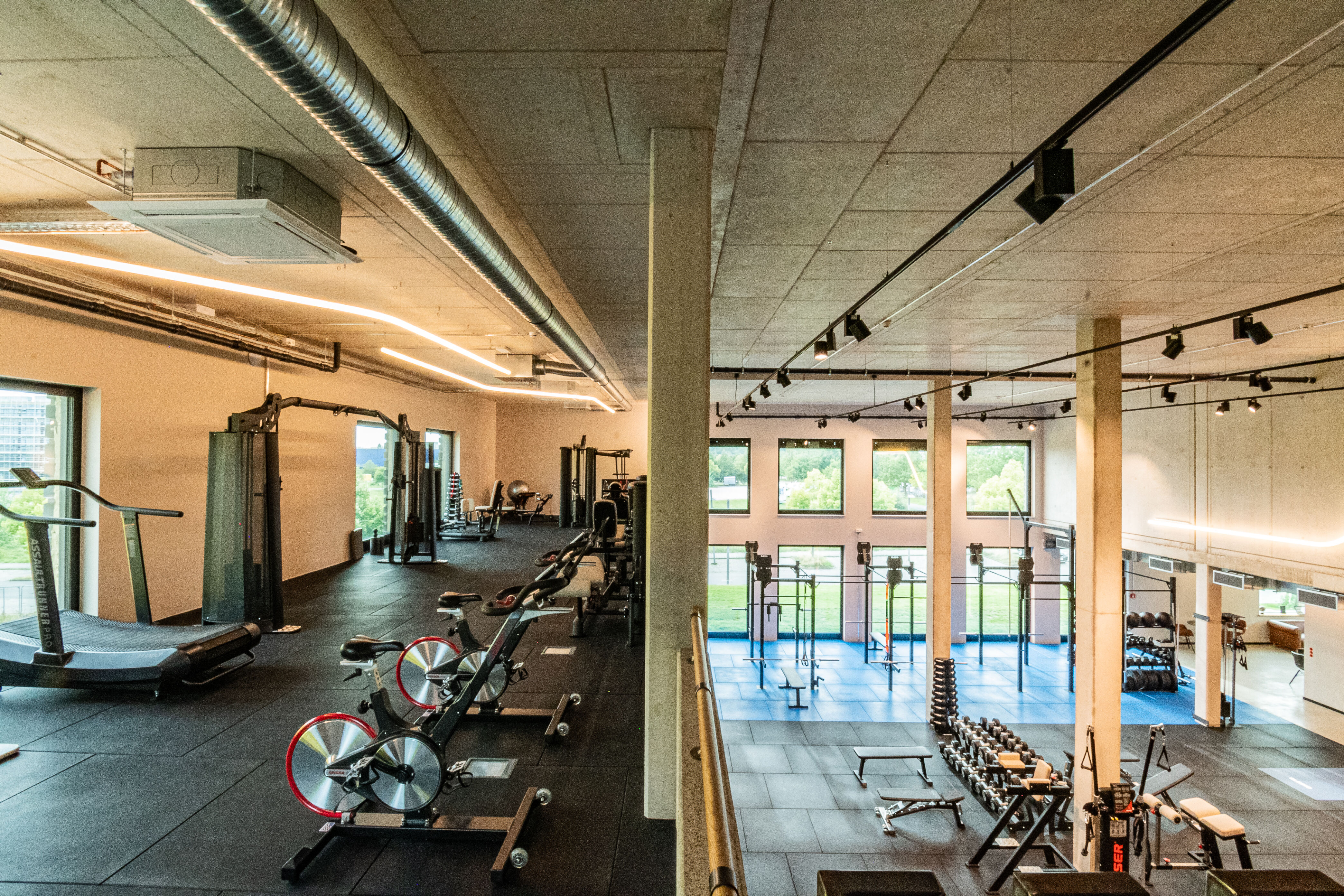 Das Gym
