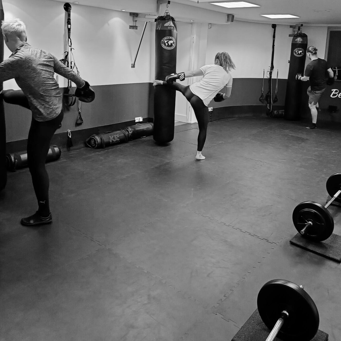 Fitnessboxen