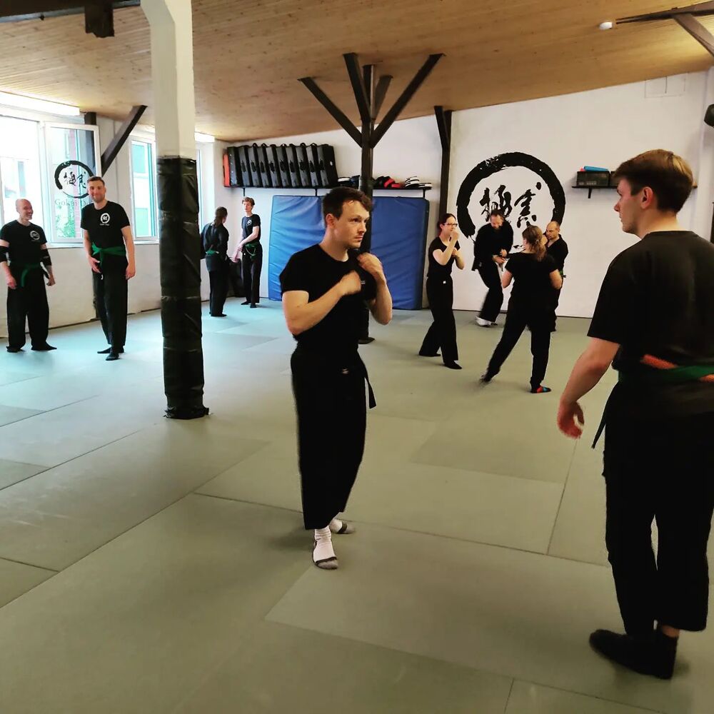 Dojo-Training