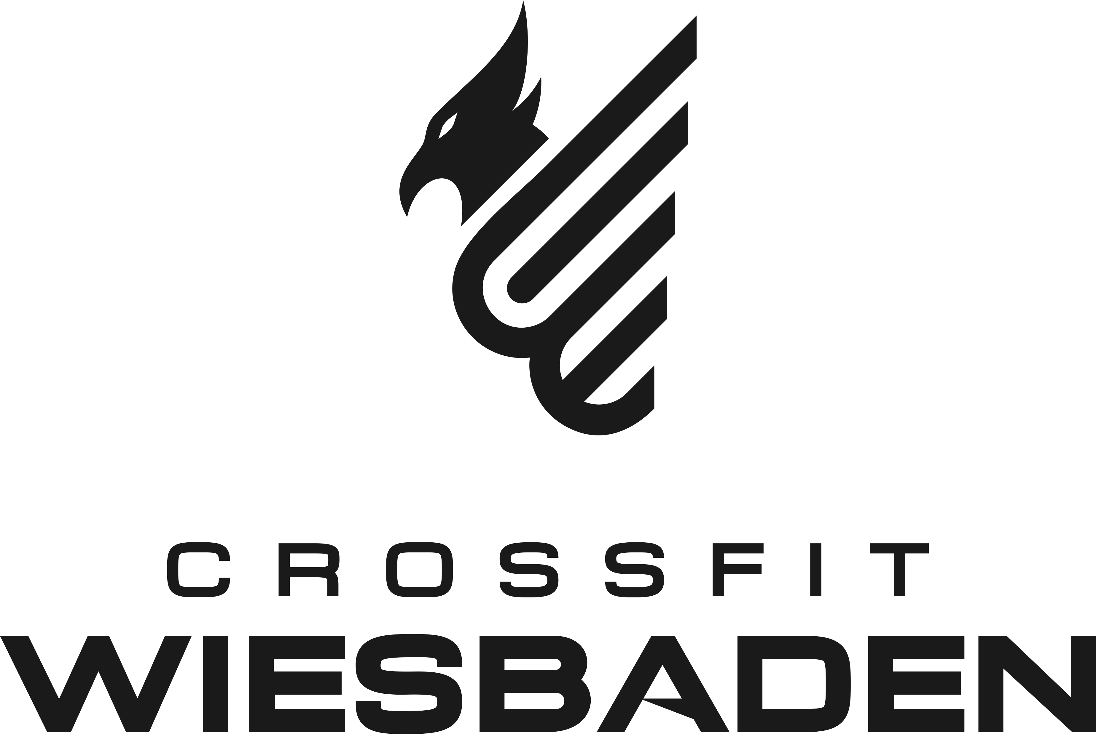 CrossFit Wiesbaden II