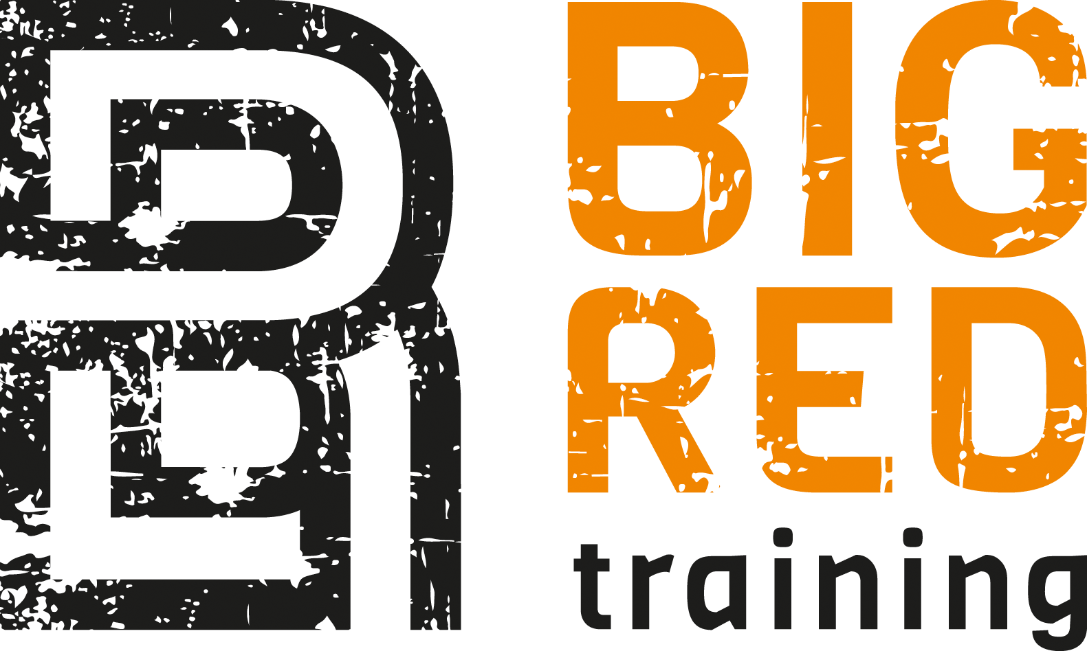BIG RED Training