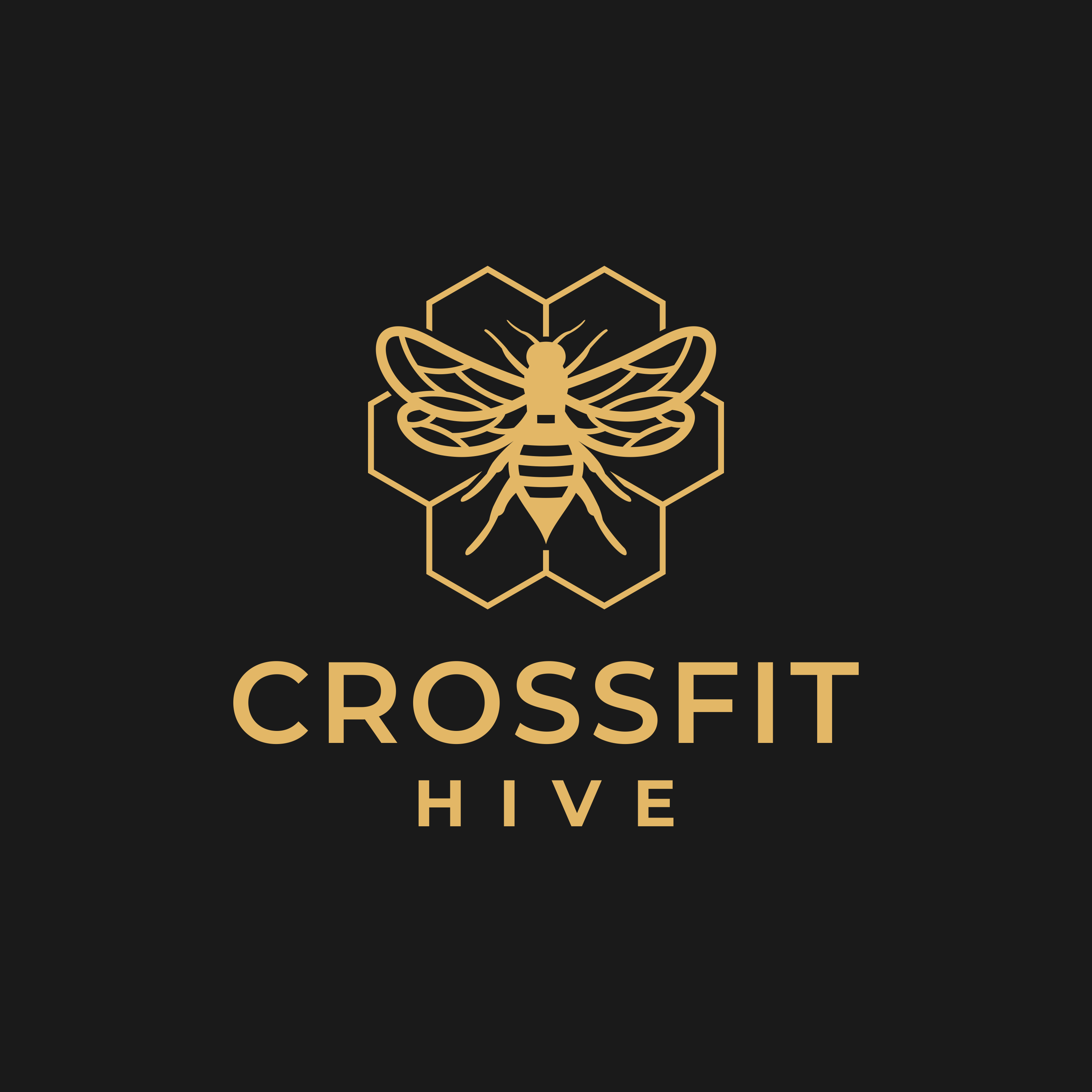 Hive Performance Club