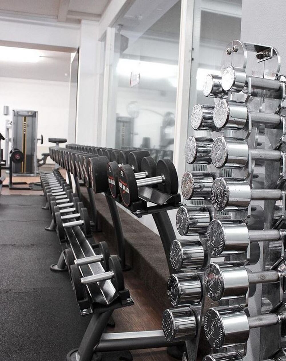 Freihanteln bis 50kg