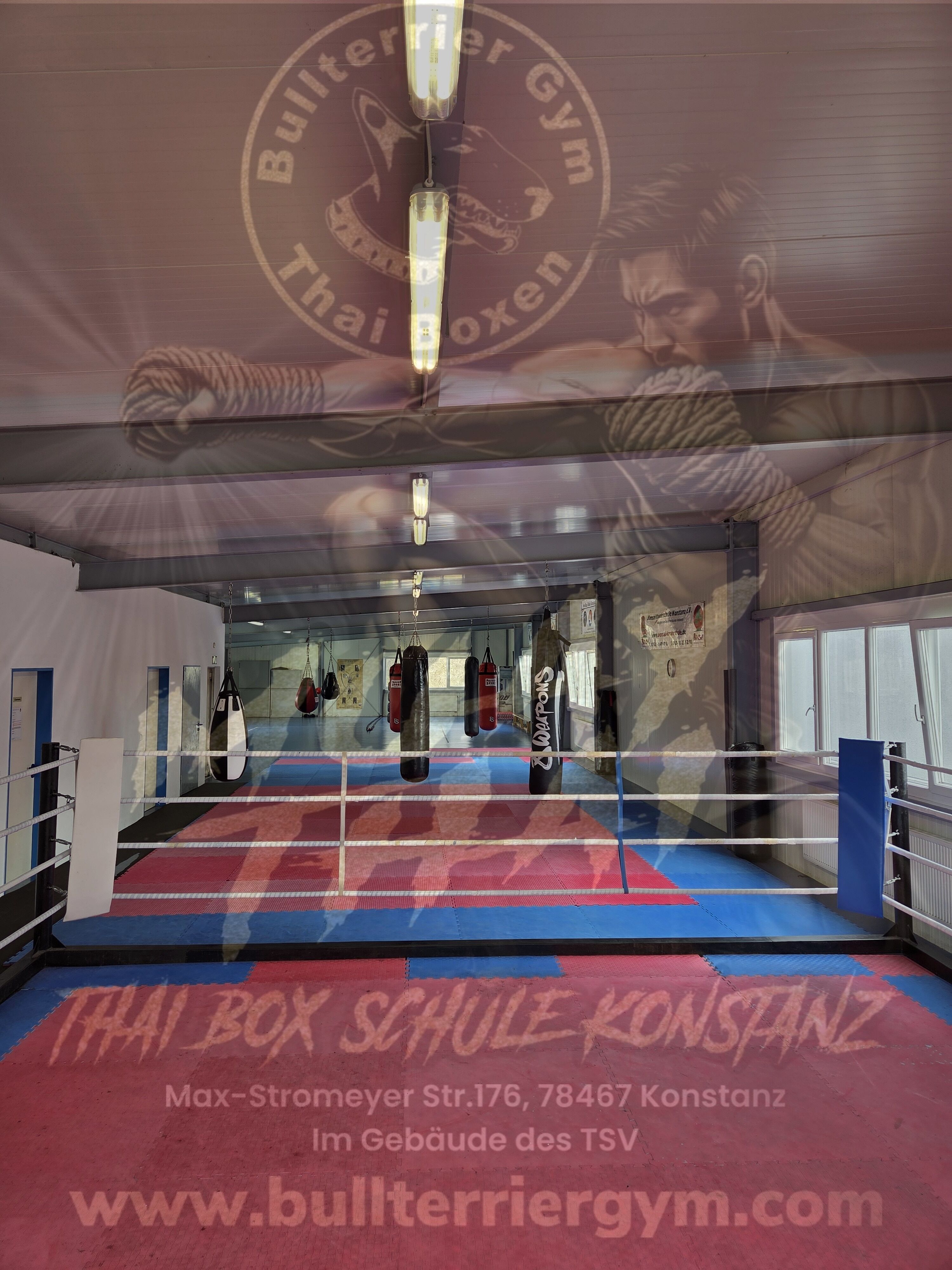 Bullterrier Gym Muay Thai Schule Konstanz
