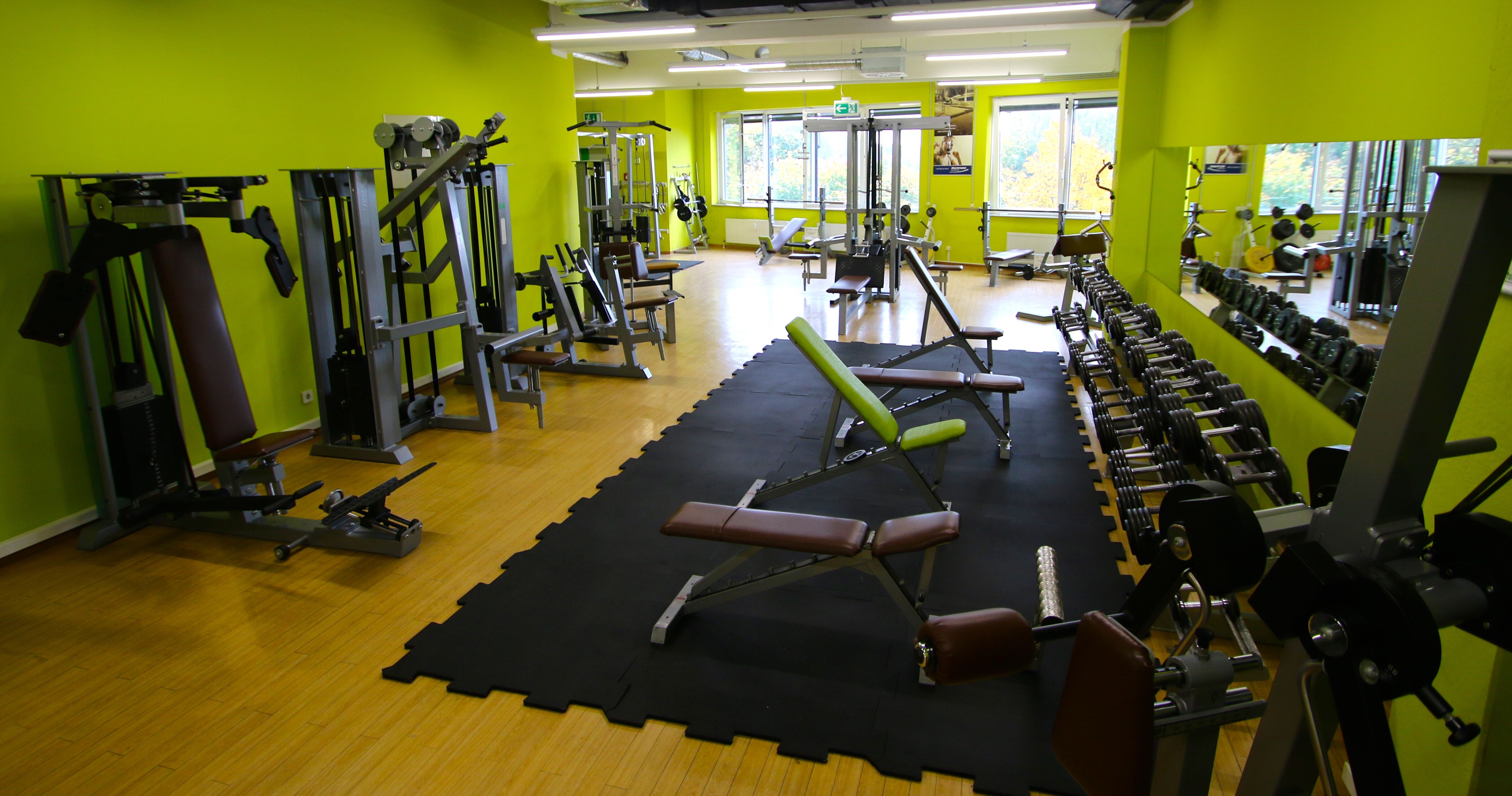 Trainingsbereich
