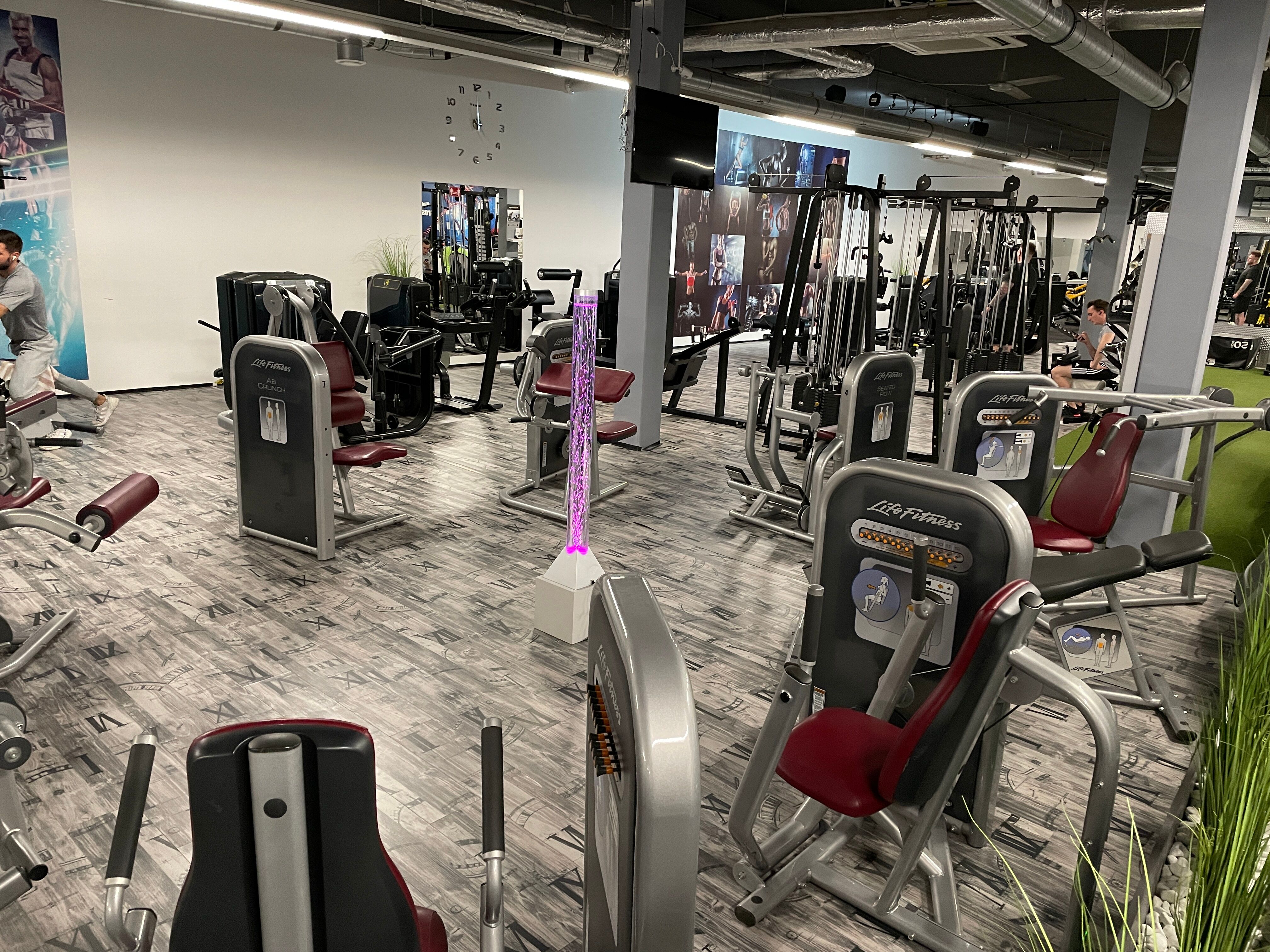 Life Fitness Zirkel