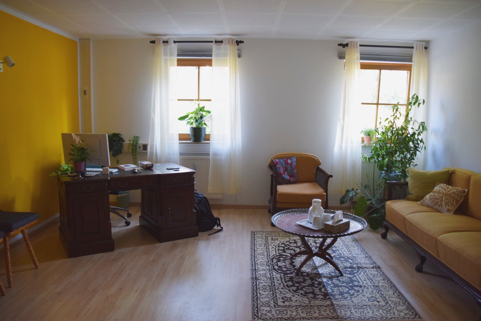 Ayurvedic Consultation Room