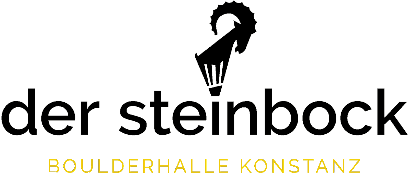 Steinbock Boulderhalle Konstanz