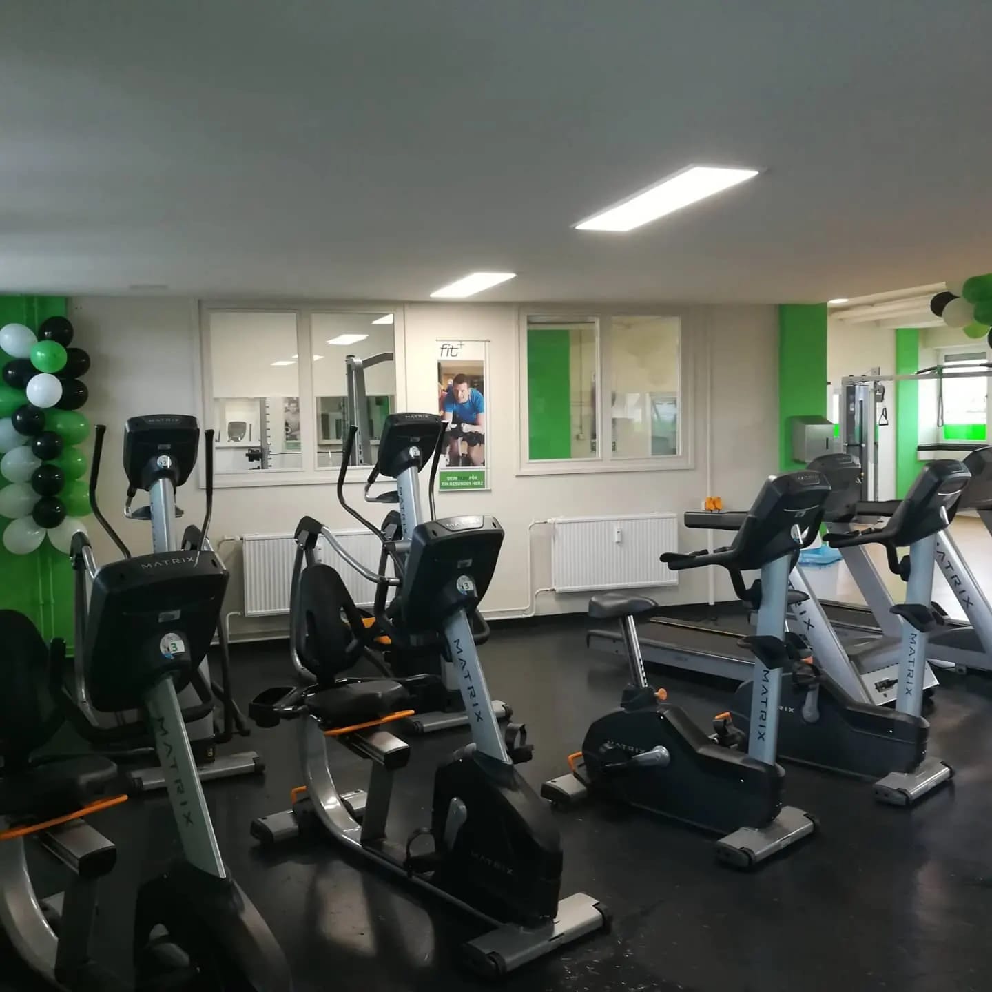 Cardiobereich