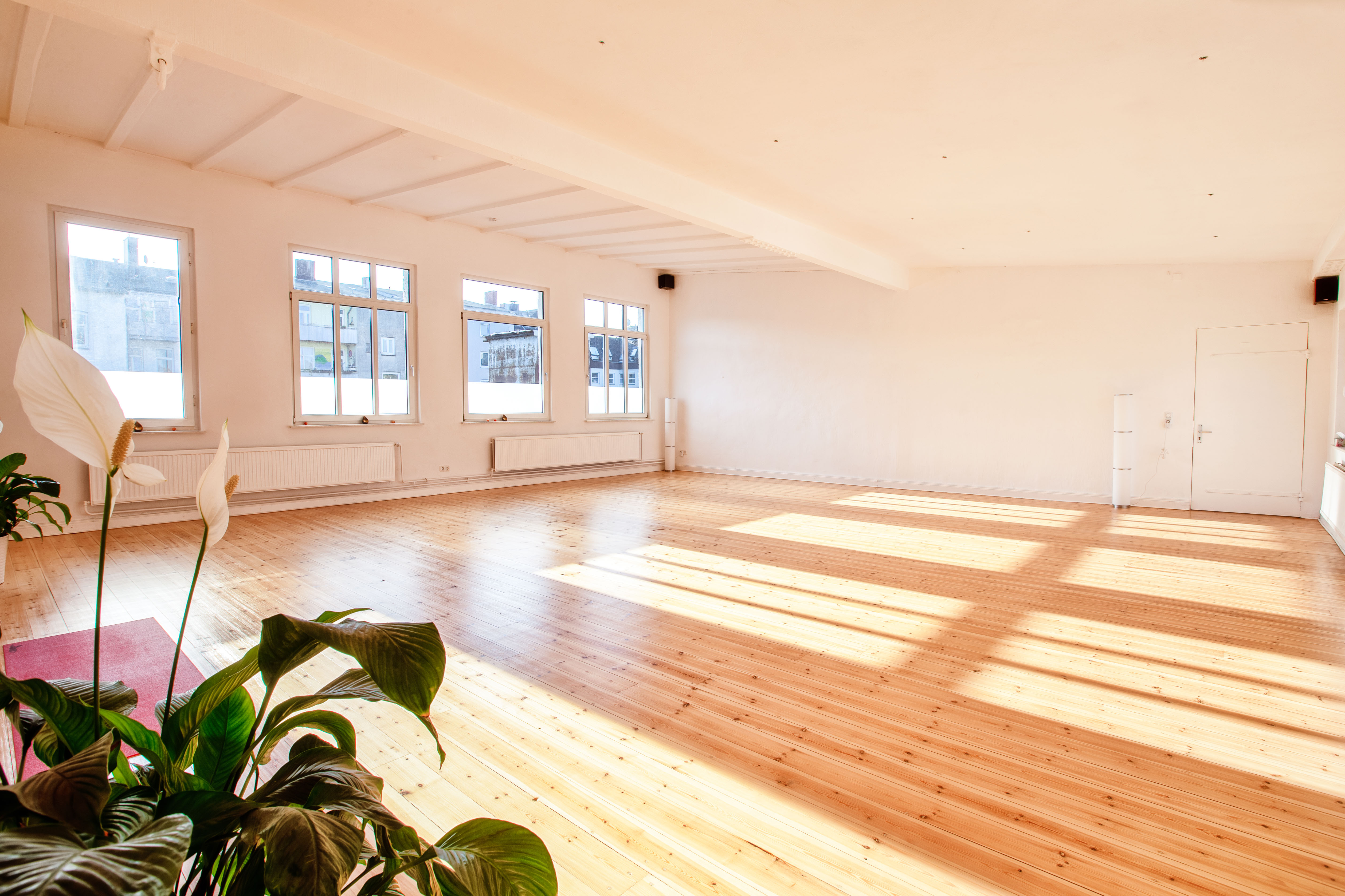 Studio 1