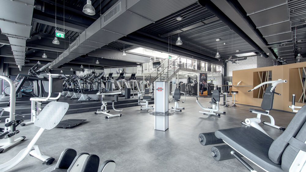 Zirkel / Cardio