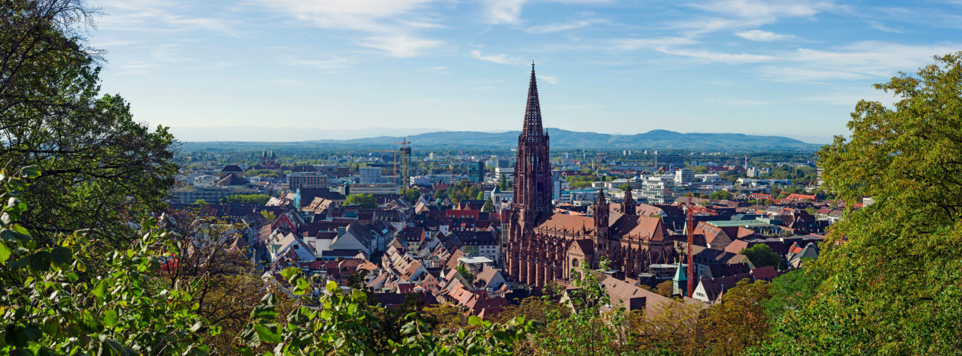 Blick auf Freiburg im Breisgau