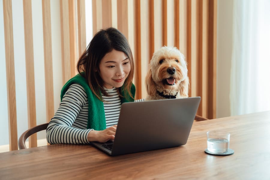 Eine Frau arbeitet während ihr Hund neben ihr sitzt.