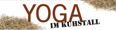 Yoga im Kuhstall