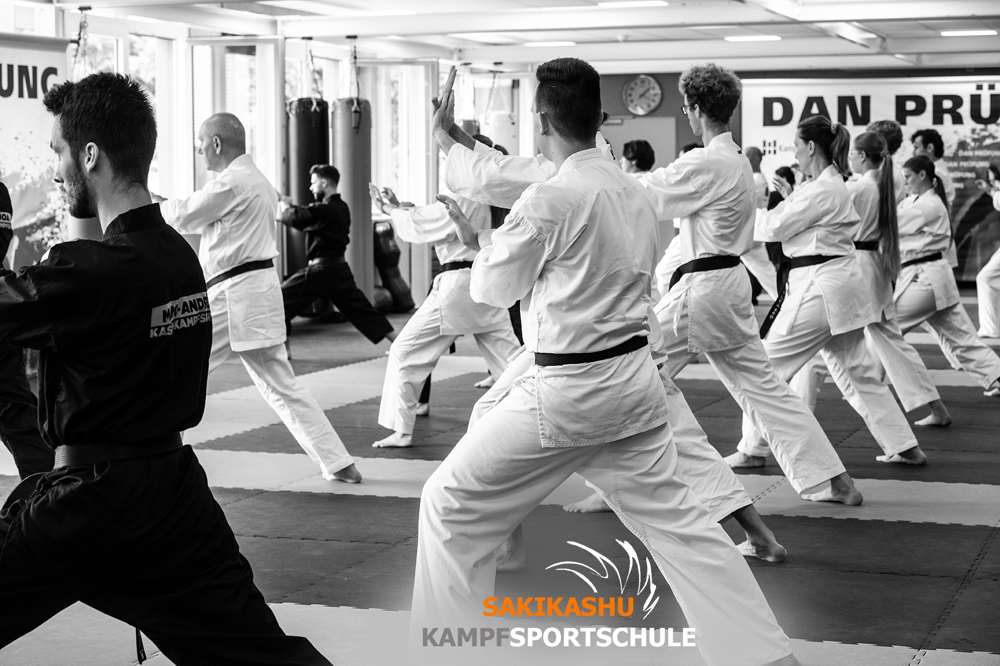 Erwachsenen Karate und Kickboxen