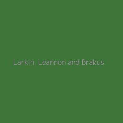 Larkin, Leannon and Brakus