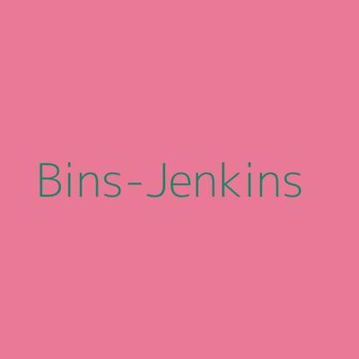 Bins-Jenkins