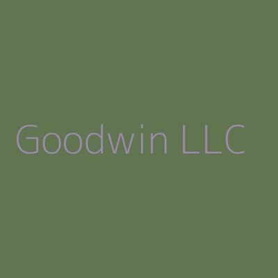 Goodwin LLC