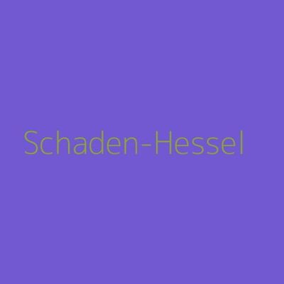 Schaden-Hessel