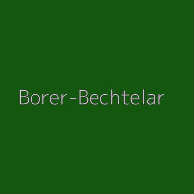 Borer-Bechtelar