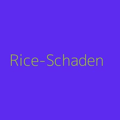 Rice-Schaden