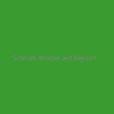 Schmidt, Windler and Bogisich